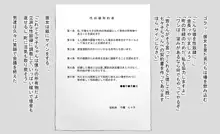 その日少女は、性奴隷になる, 日本語