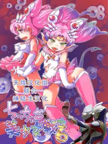 Chiccha na Bishoujo Senshi 6, 中文