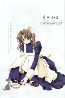 Kao no Nai Tsuki Visual Fanbook, 日本語