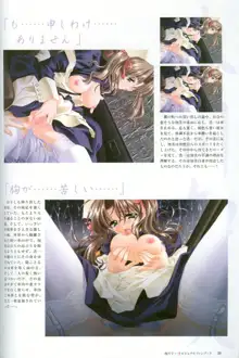 Kao no Nai Tsuki Visual Fanbook, 日本語