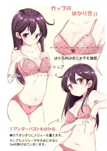 第七駆逐隊 hamaken collection 総集編 + 潮ちゃんのお花見!おっぱい桜酒。, 日本語