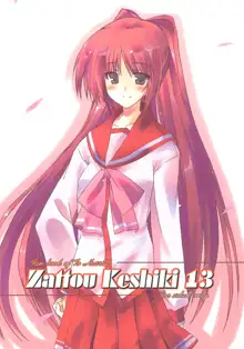 ZATTOU KESHIKI 13, 日本語