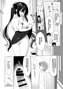 Succubus-kei Onee-chan wa Misetagari 2, 中文