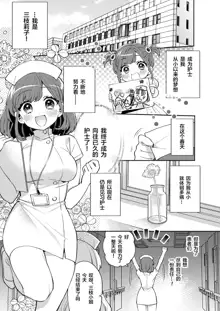 Konpou Shoujo 11, 中文