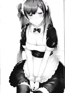 Maid na WA2000, English