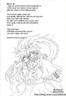 Touhou Youjo Ranbu 9 | 동방 요녀 난무 9, 한국어