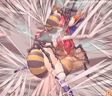 Tamamo VS Bee, 日本語