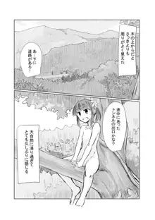 少女と山遊び, 日本語