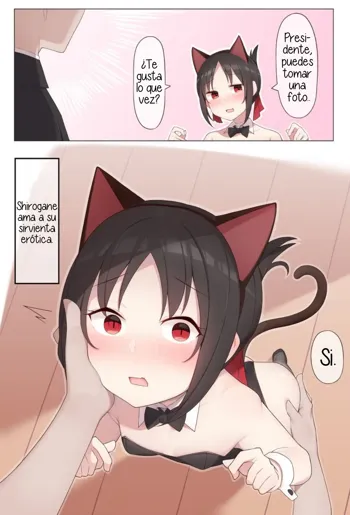 Nekomimi no Kaguya-sama, Español