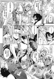 Elf Harem Academia, 中文