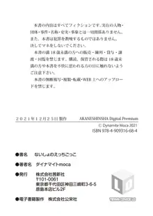 ないしょのえっちごっこ, 日本語