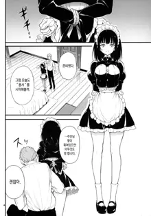 Maid Kyouiku. 2 -Botsuraku Kizoku Rurikawa Tsubaki- | 메이드 교육. 2 -몰락귀족 루리카와 츠바키-, 한국어