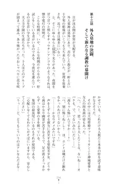 天煌聖姫ヴァーミリオン フタナリ調教されちゃう母娘ヒロイン, 日本語