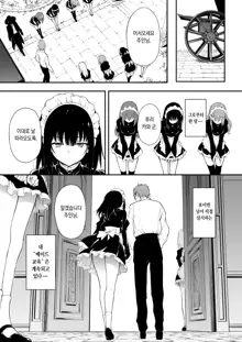 Maid Kyouiku. 2 -Botsuraku Kizoku Rurikawa Tsubaki- | 메이드 교육. 2 -몰락귀족 루리카와 츠바키-, 한국어