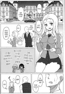 Marie-sama no Himegoto, 한국어