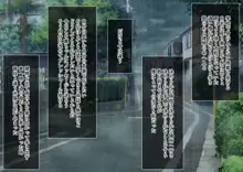 僕を肉バイブにしているのは1000年に1人のアイドルでした, 日本語