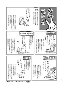 うさぎ日和, 日本語