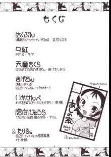 貧乳娘 Vol.11, 日本語