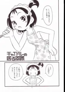 貧乳娘 Vol.11, 日本語