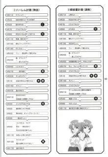 コートの中の天使達 CG&原画集, 日本語