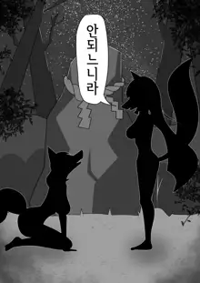 Kitsunetsuki Zenpen | 여우에게 홀리다 전편, 한국어