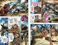 SBR(彪马野郎,JOJO的奇妙冒险第七部彩版)中文翻译第01卷, 中文