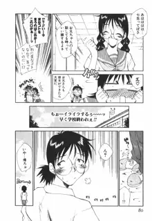 ぽっぷんLOVE！, 日本語