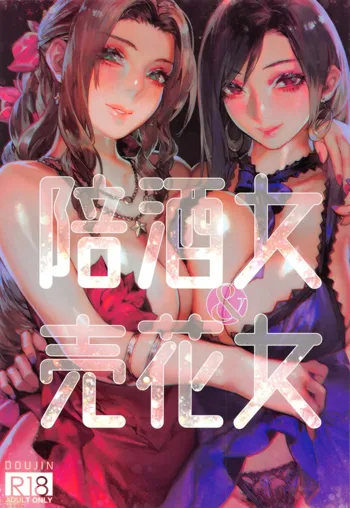 Pei Jiou Nyu Yu Mai Hua Nyu | The Escort and the Flower Girl (decensored), English