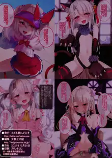 メスガキ魔法少女イリヤちゃん, 日本語