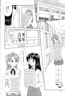 APRON SHORT CUT, 日本語