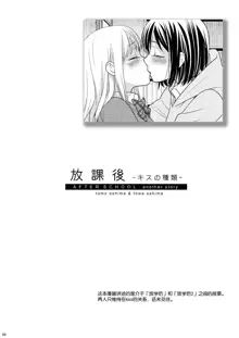 Houkago ~Kiss no Shurui~, 中文