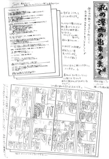 夢想花 ーむそうばなー, 日本語