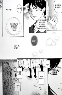 Kimi to Watashi no Renai Jijou Half a sleep, 한국어