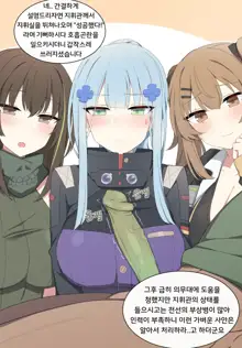 hk416 (decensored), 한국어