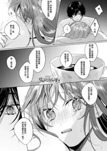 Reitetsu Ouji wa Dekiai no Soshitsu ga Aru kamo shirenai 2 | 高冷王子或許有溺愛的潛能 2, 中文