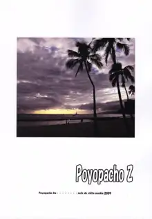 Poyopacho Z, English