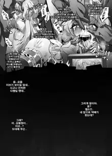 ELSWORD Series EVE <full Version>, 한국어