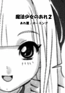 魔法少女のあれ 2, 日本語