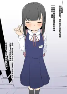 Souda Kawaii Ko o Pet ni Shiyou ~Shiori-chan o Tsukamaete Pet ni Suru Hanashi~, 中文