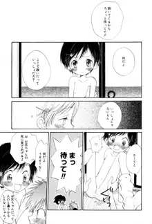 女の子は特別教, 日本語