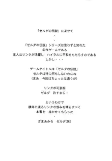 NISEゼルダの伝説 真章, 日本語