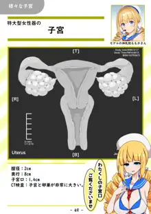 【おっぱいず★】おっぱいは世界を救うのだ☆彡, 日本語