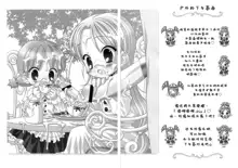 Gokkun Princess, 中文