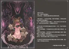 Mamono Musume Zukan World Guide III -Sabbath Grimoire-, 中文