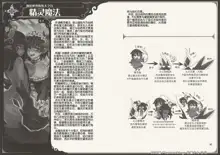 Mamono Musume Zukan World Guide III -Sabbath Grimoire-, 中文