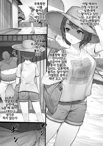 Itsumodoori no Natsuyasumi | 늘 하던 대로의 여름방학, 한국어