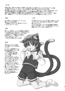 兎と遊ぶ猫, 日本語