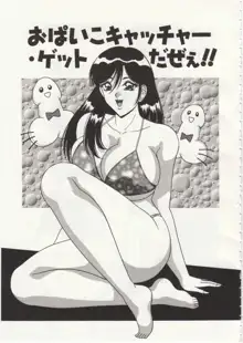 爆乳サイクロンゼット, 日本語