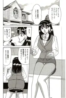 凌辱きせかえ人形, 日本語