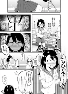 放課後夏海日誌, 日本語